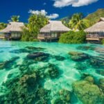 Discovering the Wonders of Nadimasaaie: A Journey Through Culture and Tradition