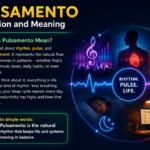 Diving into Pulsamento: The Rhythmic Pulse of Life